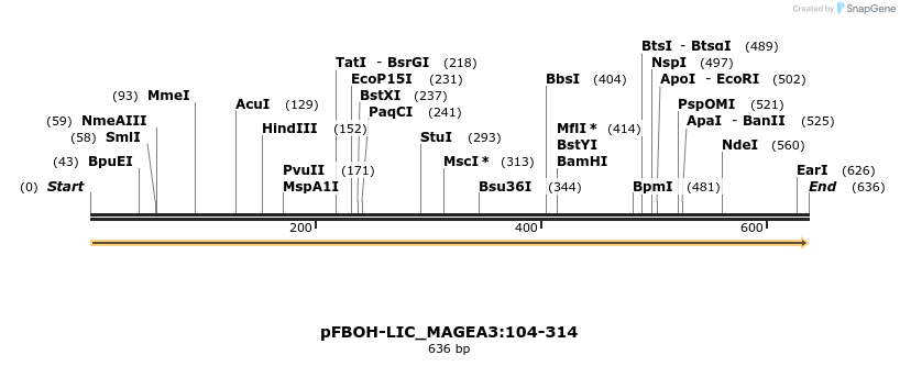 411362_map