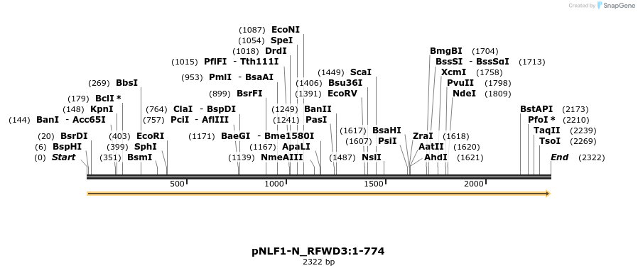411388_map