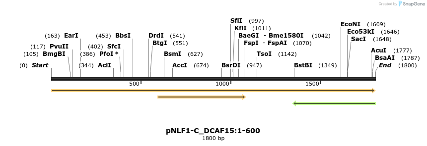 411398_map