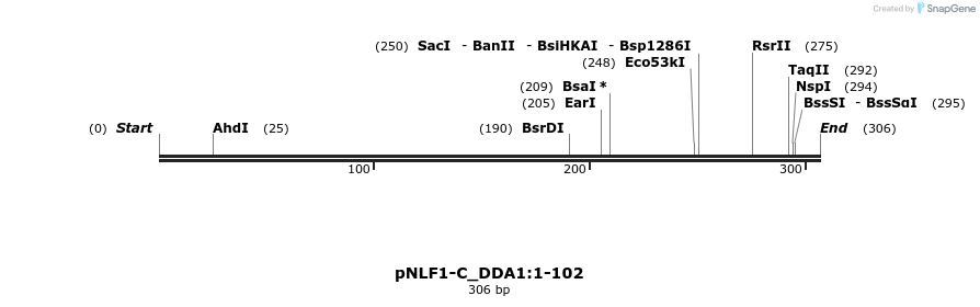 411402_map