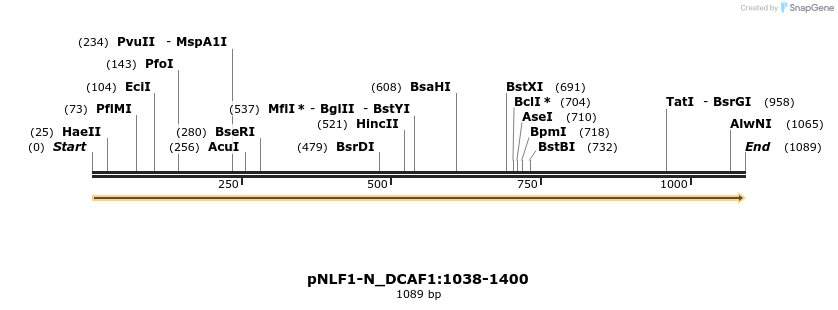 411404_map