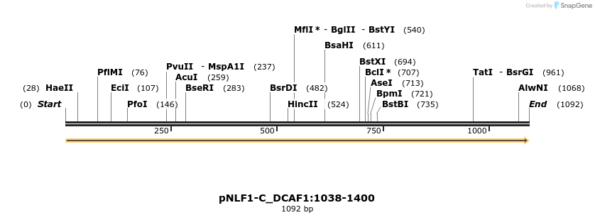 411406_map