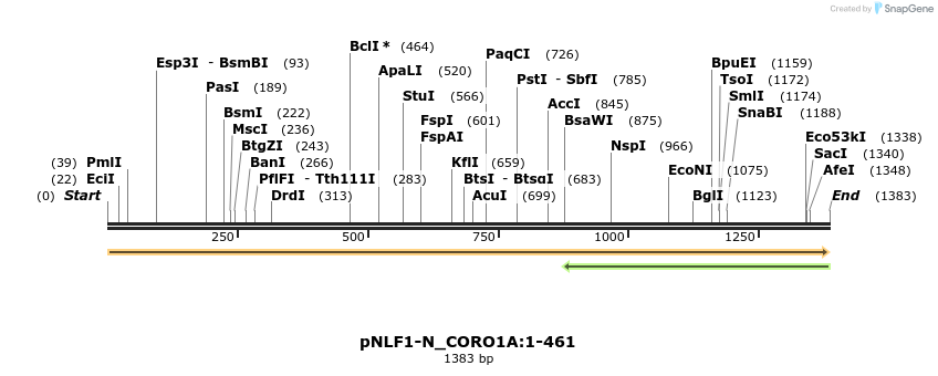 411408_map