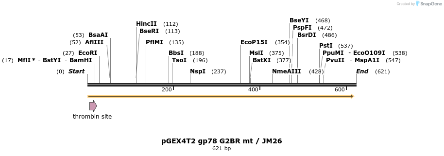 41141_map