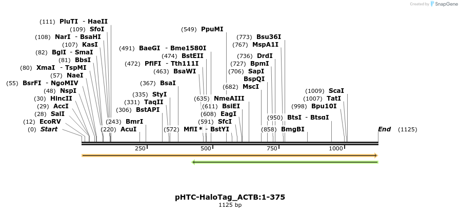 411422_map