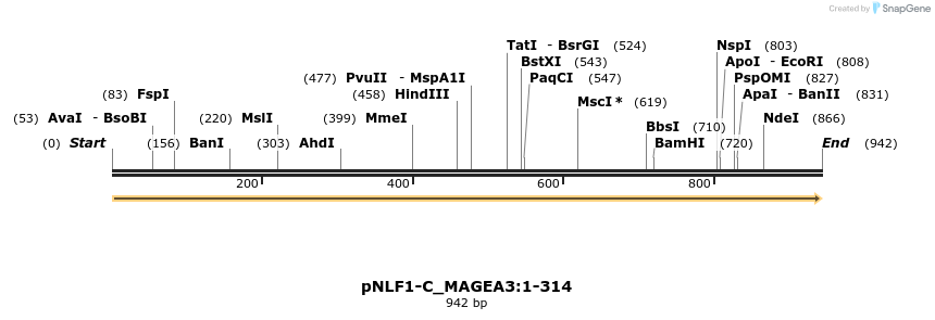 411434_map