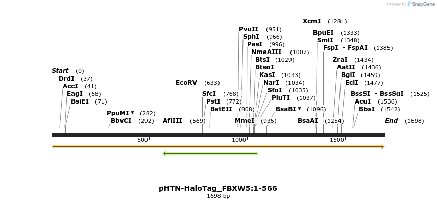 411440_map