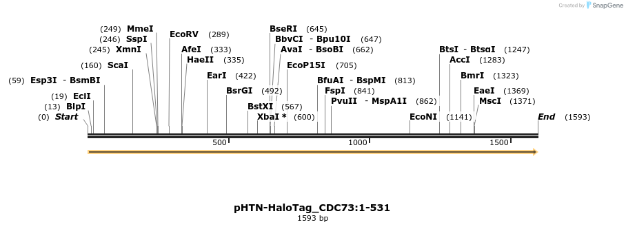 411444_map