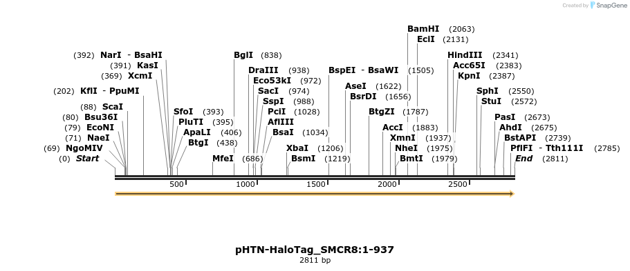 411448_map
