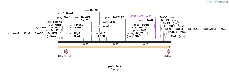 41145_map