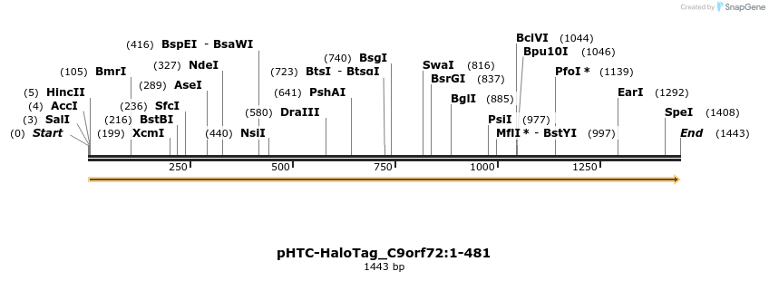 411454_map