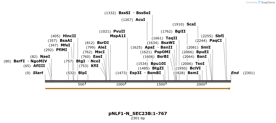 411456_map