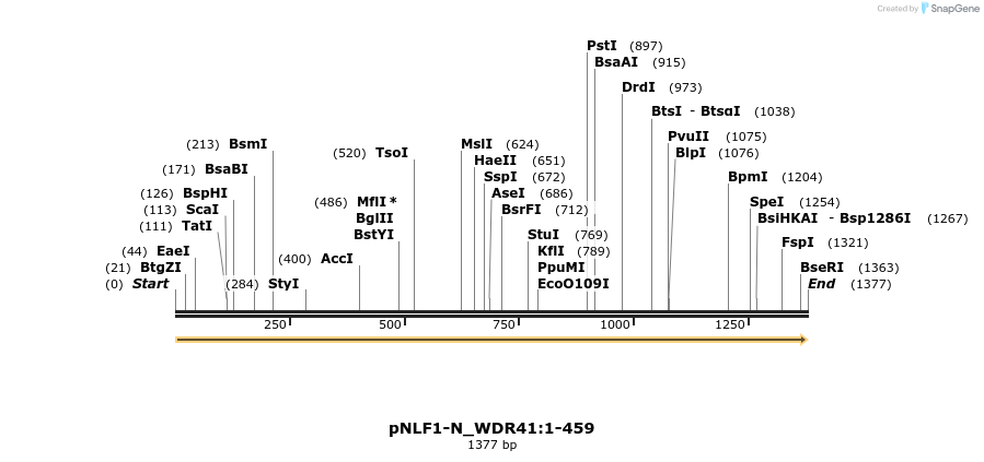411460_map