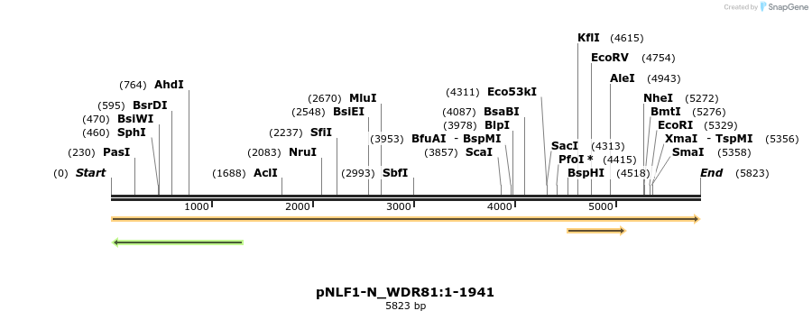 411468_map