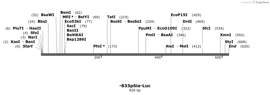 41147_map