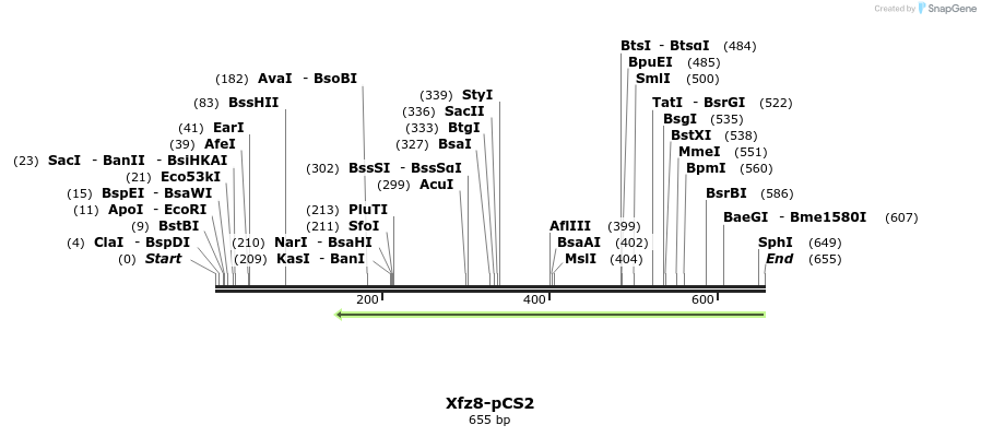 41148_map