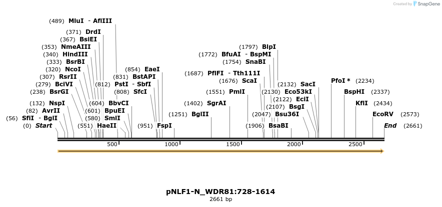 411484_map