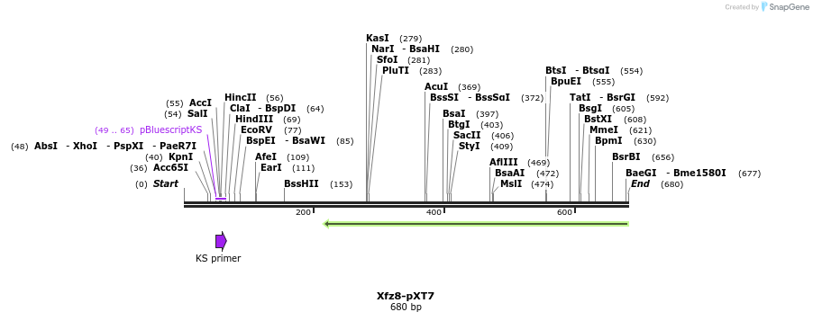 41149_map