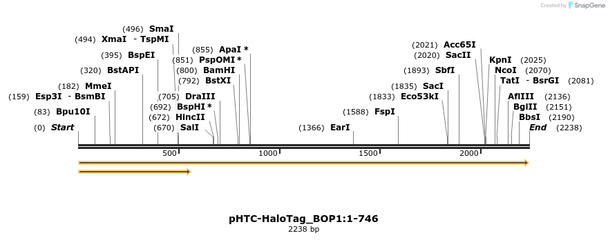 411490_map