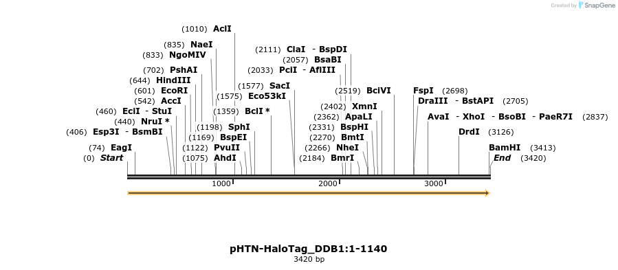 411492_map
