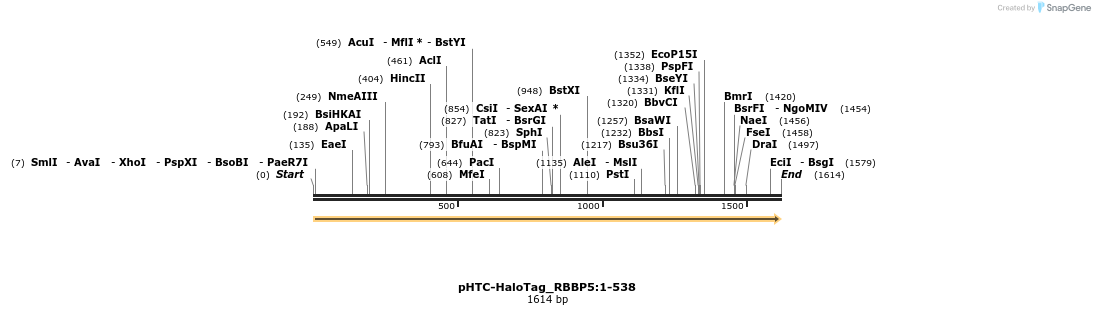 411496_map