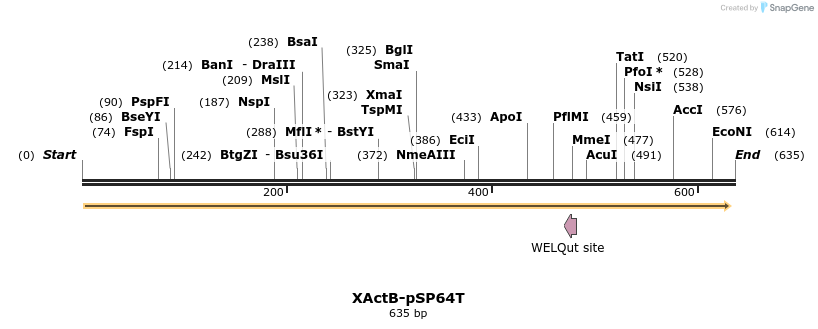 41150_map