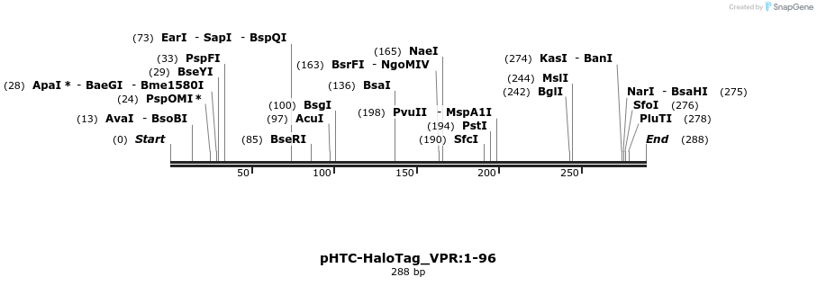 411504_map