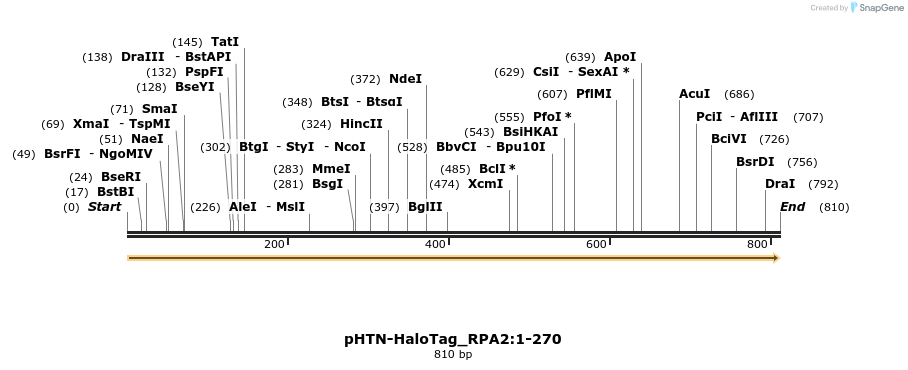 411506_map