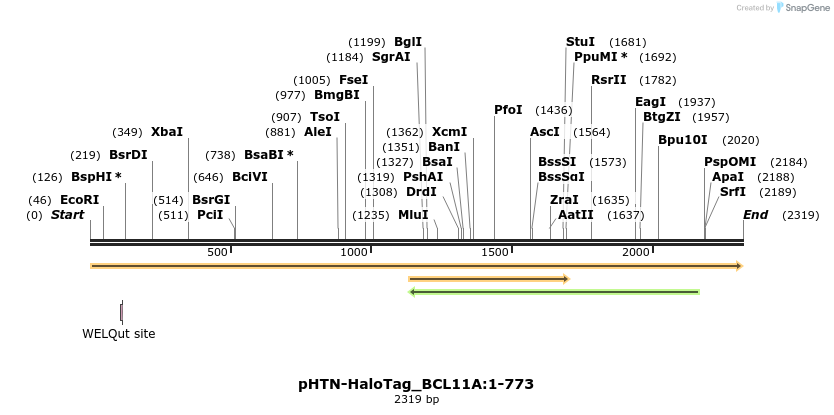 411508_map