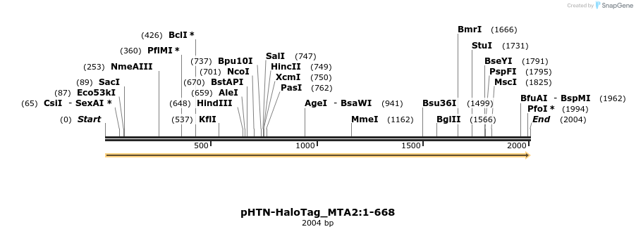 411512_map