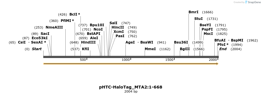 411514_map