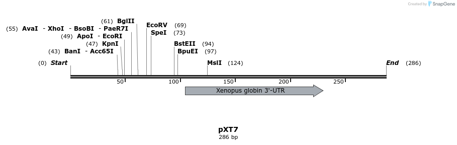 41152_map