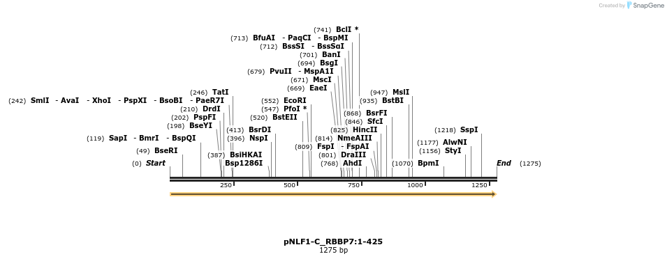 411522_map
