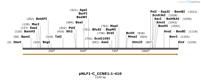 411526_map