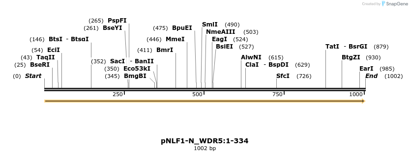 411530_map
