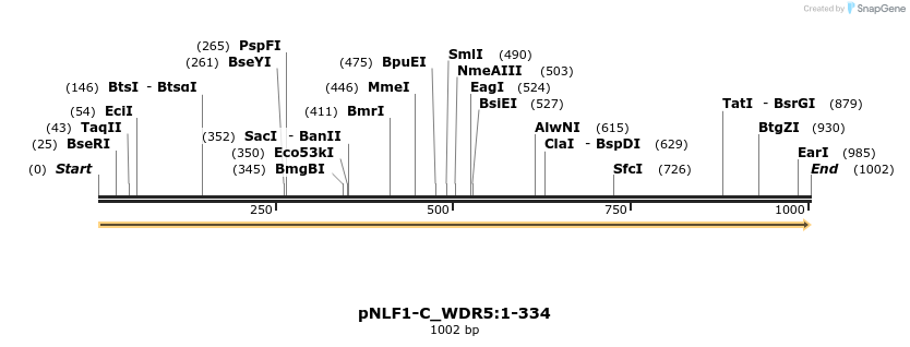411532_map