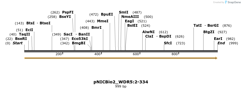 411534_map