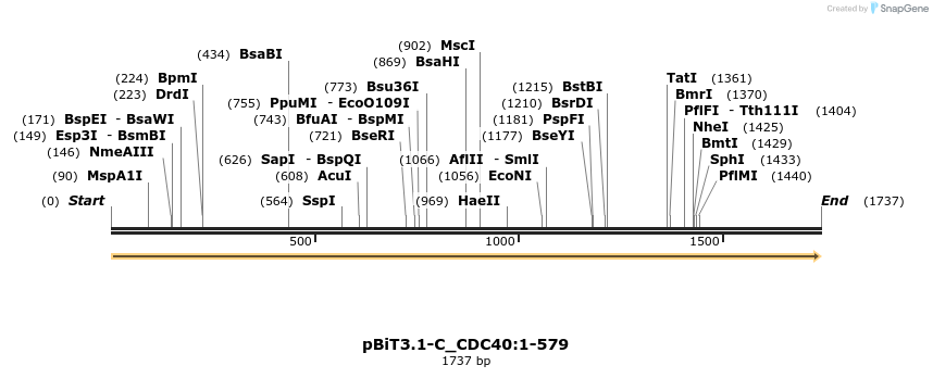 411544_map