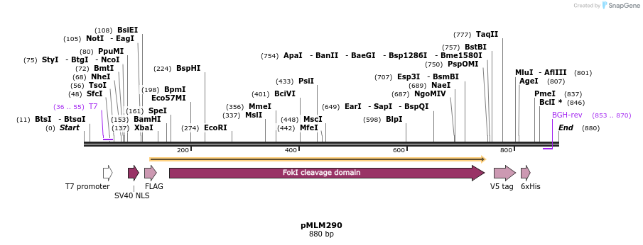 41155_map