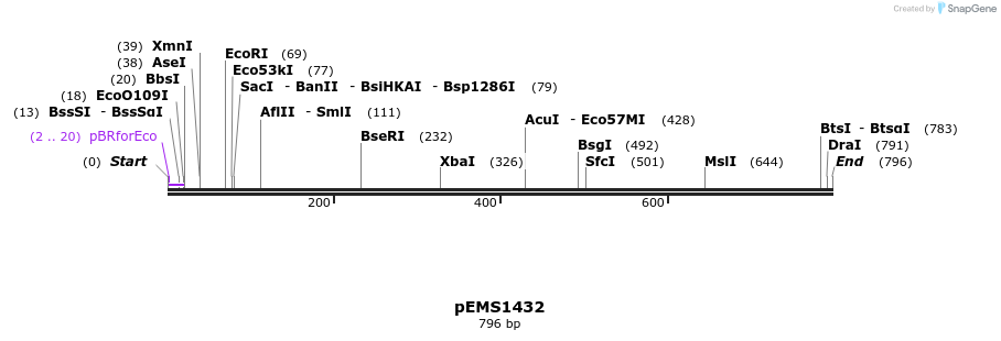 41156_map