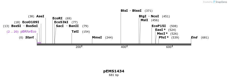 41157_map