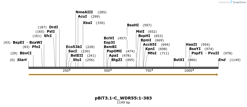 411572_map