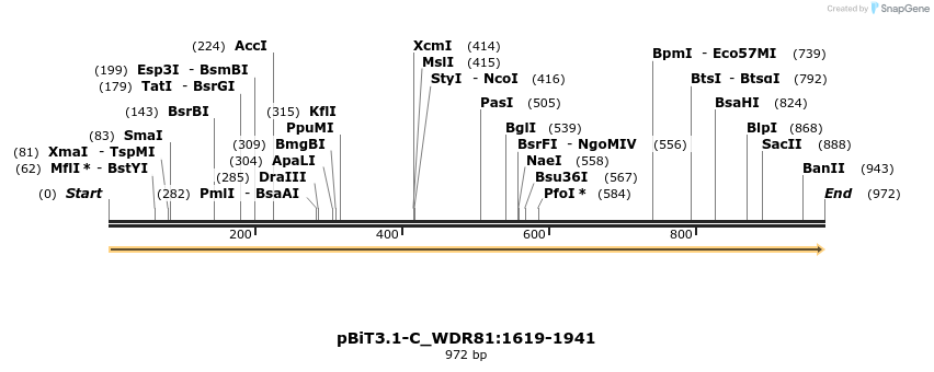 411574_map
