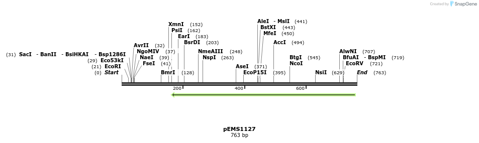 41158_map