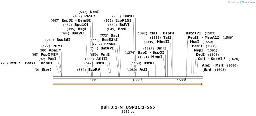 411580_map