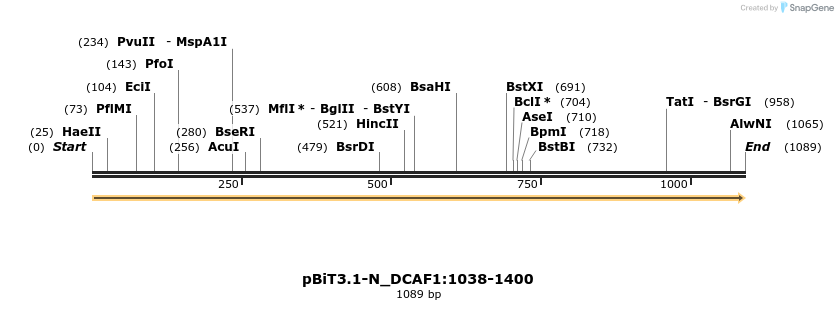 411584_map