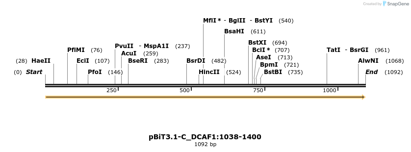 411586_map
