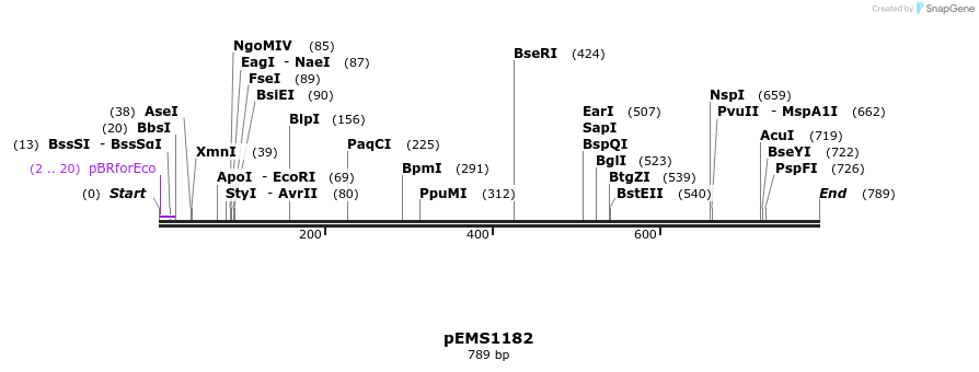 41160_map