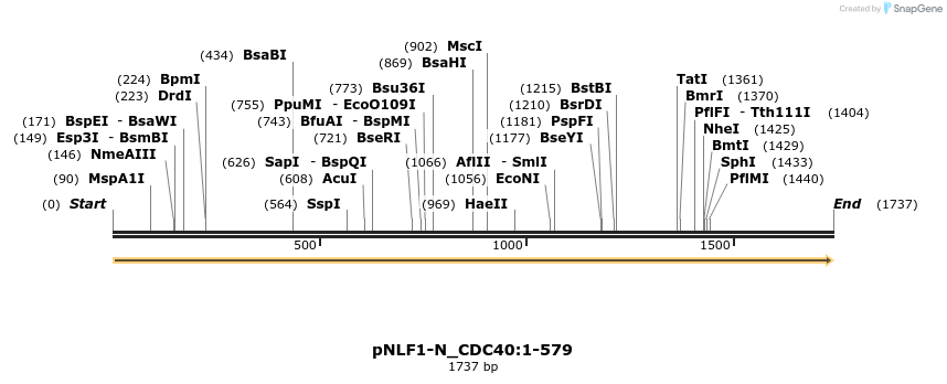 411602_map