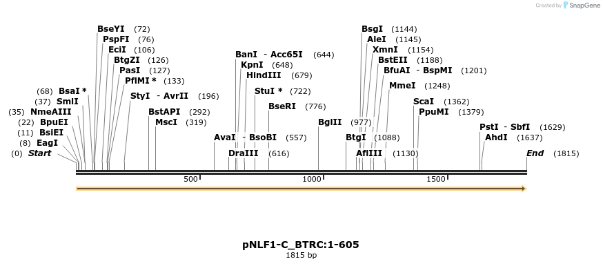 411606_map